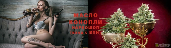 гашик Арсеньев