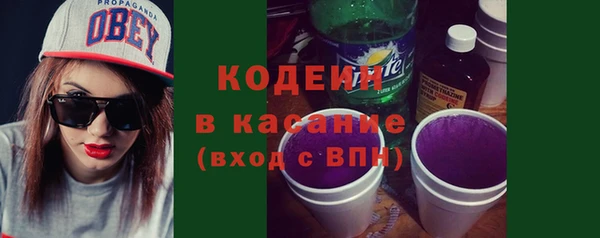 гашик Арсеньев