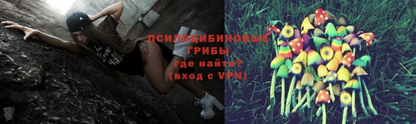 соль ск Аркадак