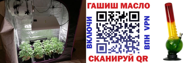купить наркотики цена  ссылка на мегу ссылки  ТГК THC oil  Рыбинск 