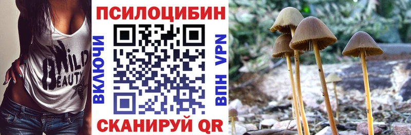Галлюциногенные грибы Cubensis  купить наркоту  Рыбинск 