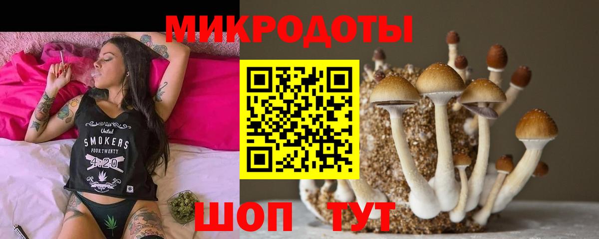 Рыбинск  Псилоцибиновые грибы Magic Shrooms  Вход с VPN  Псилоцибиновые грибы Magic Shrooms 