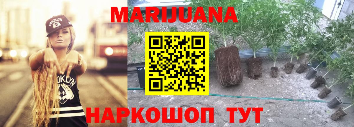 Бошки марихуана гибрид Рыбинск
